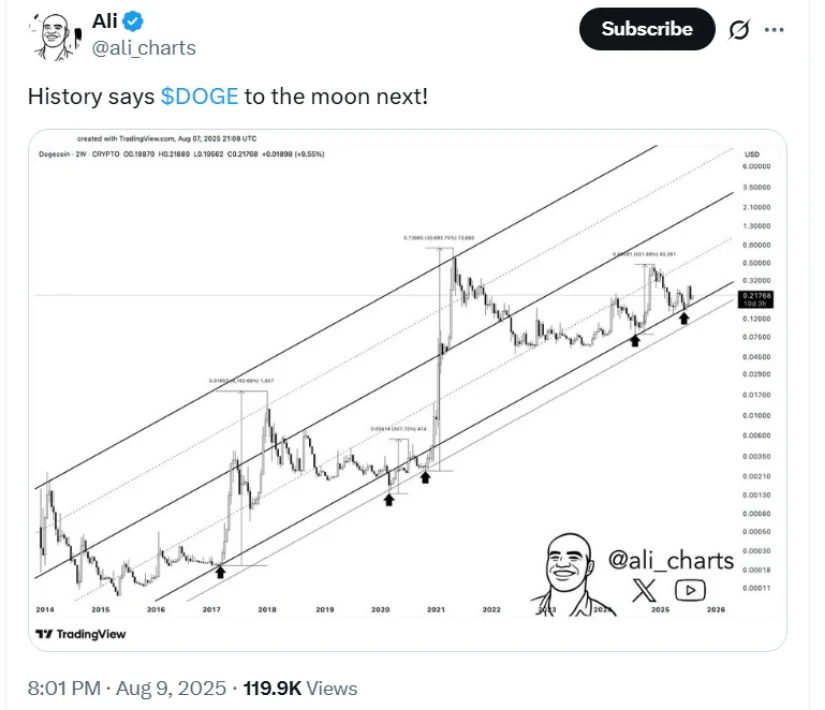 Dogecoin Balinaları İş Başında: Kripto Piyasasında Neler Oluyor?
