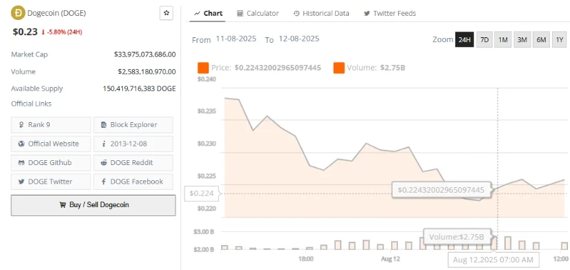 Dogecoin Balinaları İş Başında: Kripto Piyasasında Neler Oluyor?