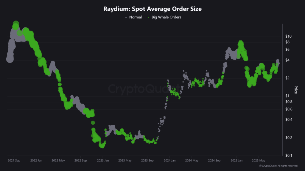 Raydium %10 Geri Çekildi, Ancak Balina Alımları Olası Toparlanmayı İşaret Ediyor