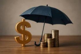 sermaye koruma tamponu