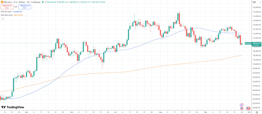 Bitcoin’de Büyük Satış Panikleri: Daha Derin Düzeltme Kapıda mı?