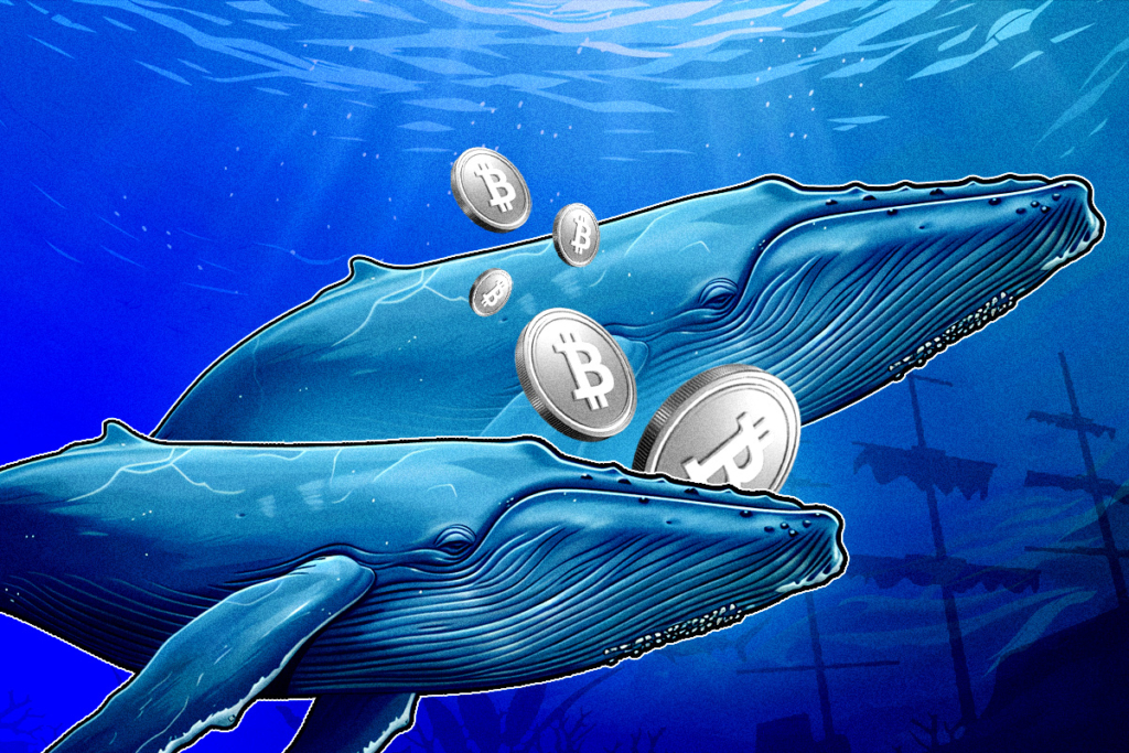 Bitcoin Balinası Yeniden Ortaya Çıktı: BTC mi ETH mi Daha Karlı?