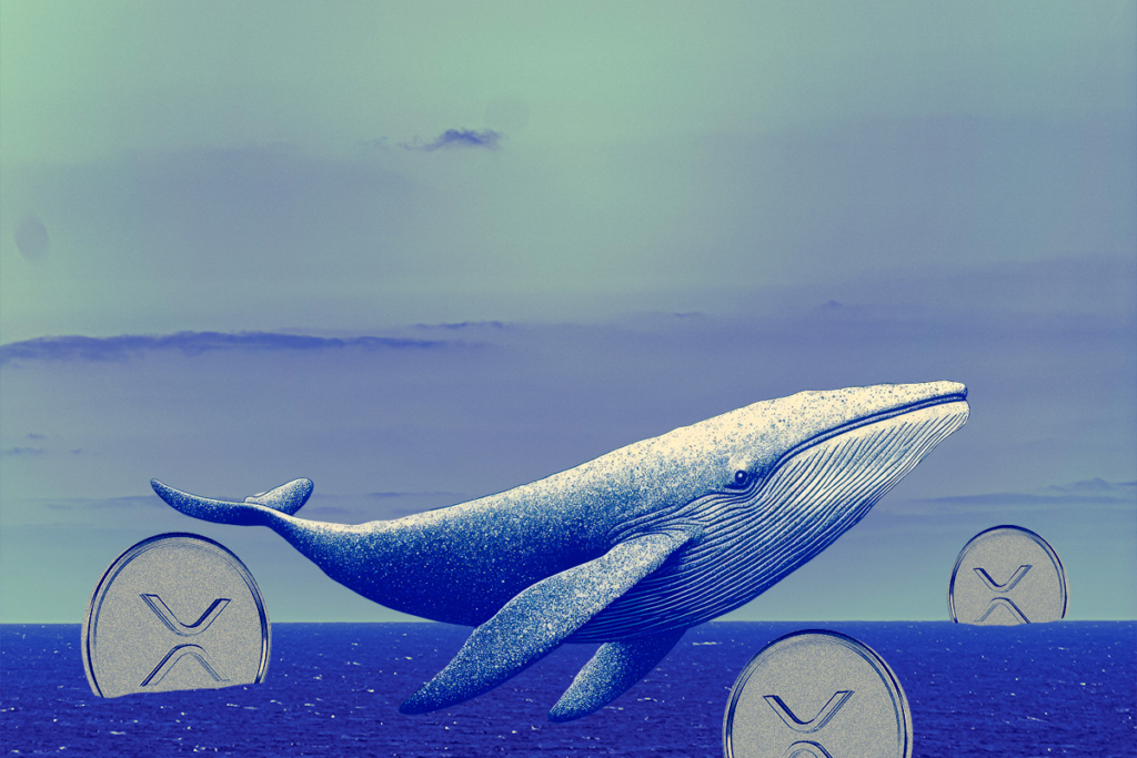 XRP Direnci Zorlarken Balina Transferleri Kısa Vadeli Endişeleri Artırıyor