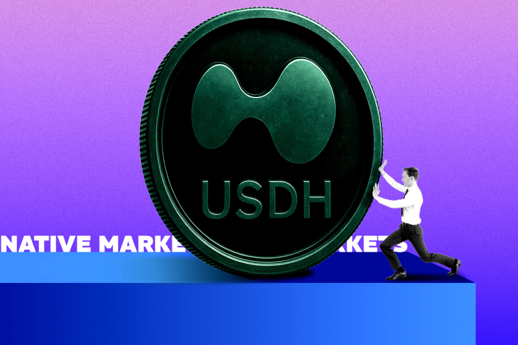 Native Markets, Hyperliquid USDH Stablecoin’i Kazanarak DeFi’de Yeni Bir Güç Mü Oldu?
