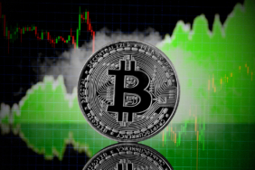 Metaplanet Bitcoin’de Rekor Kırdı mı? Asya’nın En Büyük Kurumsal BTC Sahibi Kim Oldu?