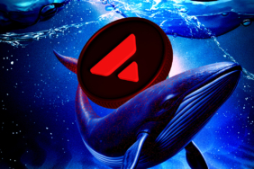 Avalanche (AVAX) Balinaların Hareketleriyle Yeniden Gözde