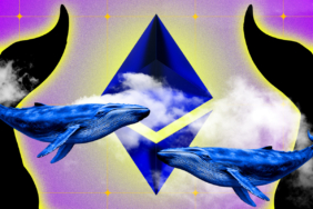 Ethereum Balinaları Düşüşten Kazanıyor: Piyasa Kısa Vadede Sarsılabilir mi?