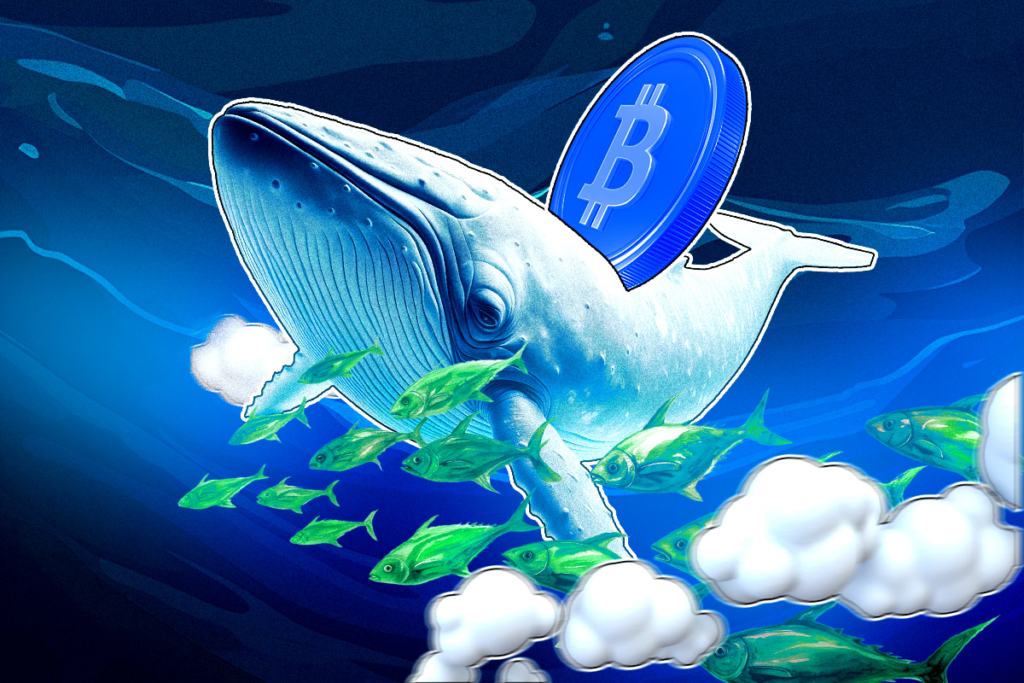 Balina Satışları Bitcoin Fiyatını Düşürür Mü?