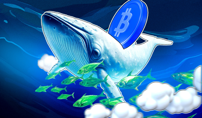 Balina Satışları Bitcoin Fiyatını Düşürür Mü?