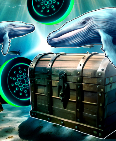 54 Milyon Dolarlık ADA Coinbase’ten Çekildi — Cardano Sezonu Mu Başlıyor?