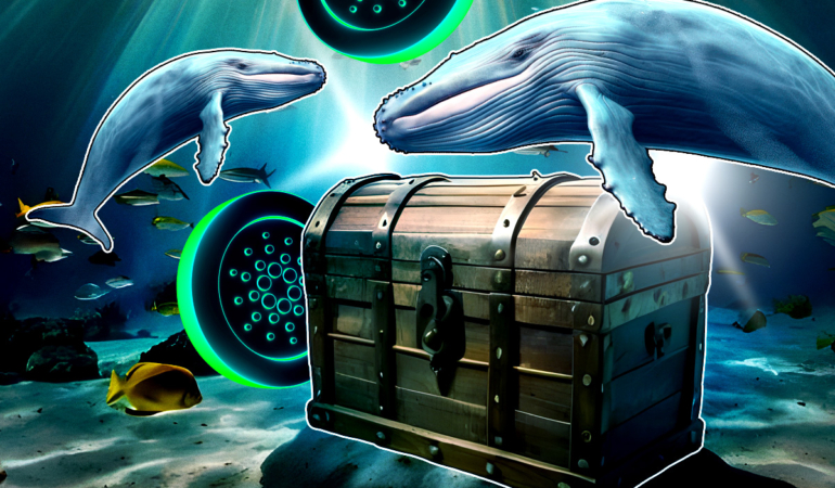 54 Milyon Dolarlık ADA Coinbase’ten Çekildi — Cardano Sezonu Mu Başlıyor?