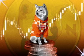 Dogecoin (DOGE), 0,29 Dolar Direncini Zorlarken Güç Sinyalleri Veriyor