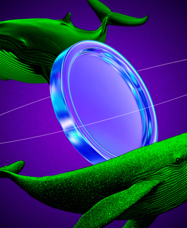 Bu 3 Altcoinde Balina Hareketliliği Görüldü Yeni Bir Boğa Dalgası mı Başlıyor