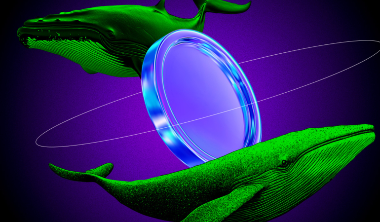 Bu 3 Altcoinde Balina Hareketliliği Görüldü Yeni Bir Boğa Dalgası mı Başlıyor