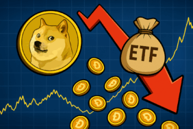 DOGE Fiyatında Kritik Eşik: 0,273 Dolar Tutunabilecek mi?