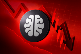 Neiro (NEIRO), Borsalardan Delist Edilme Sebebiyle Sert Düşüş Yaşıyor