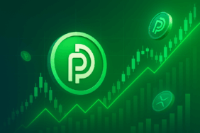 Plug Power Yükselişte: Hidrojen Enerjisi Yatırımcıları Nasıl Etkiliyor?