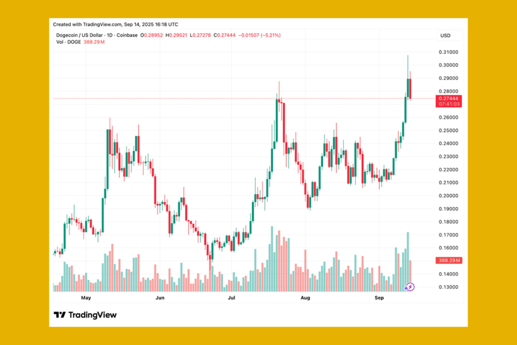 DOGE Balinaları Fiyatı Uçurdu: $0,30 Rallisinden Sonra Kritik Seviyeler