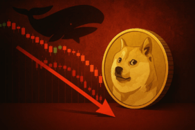 Dogecoin Fiyatı Tehlikede Balinaların Büyük Satışı Piyasayı Sarsıyor
