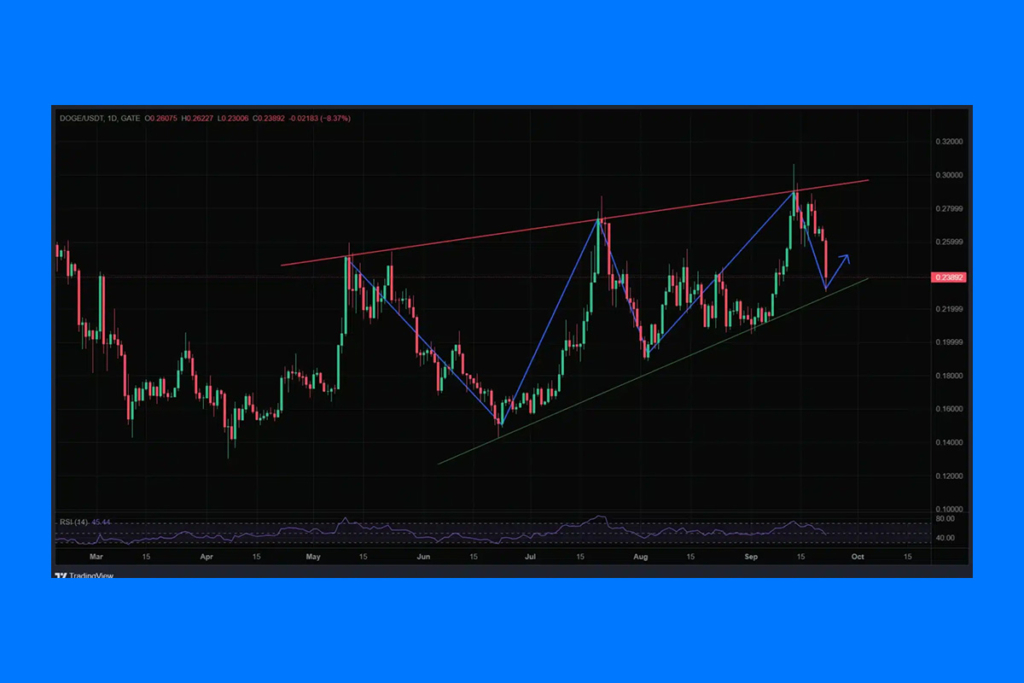 Dogecoin Fiyatında Yeni Ralli Beklentisi: $0.31 Direnci Kritik