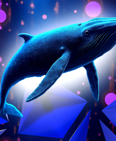 ETH Balinaları Yüklü Alımlar Yapıyor Yeni Bir Boğa Koşusu mu Geliyor