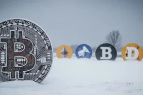 Kripto Kışı