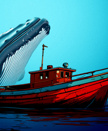 Nakamoto CEO’su Bitcoin Rallisi Balinalar Nedeniyle Gecikti