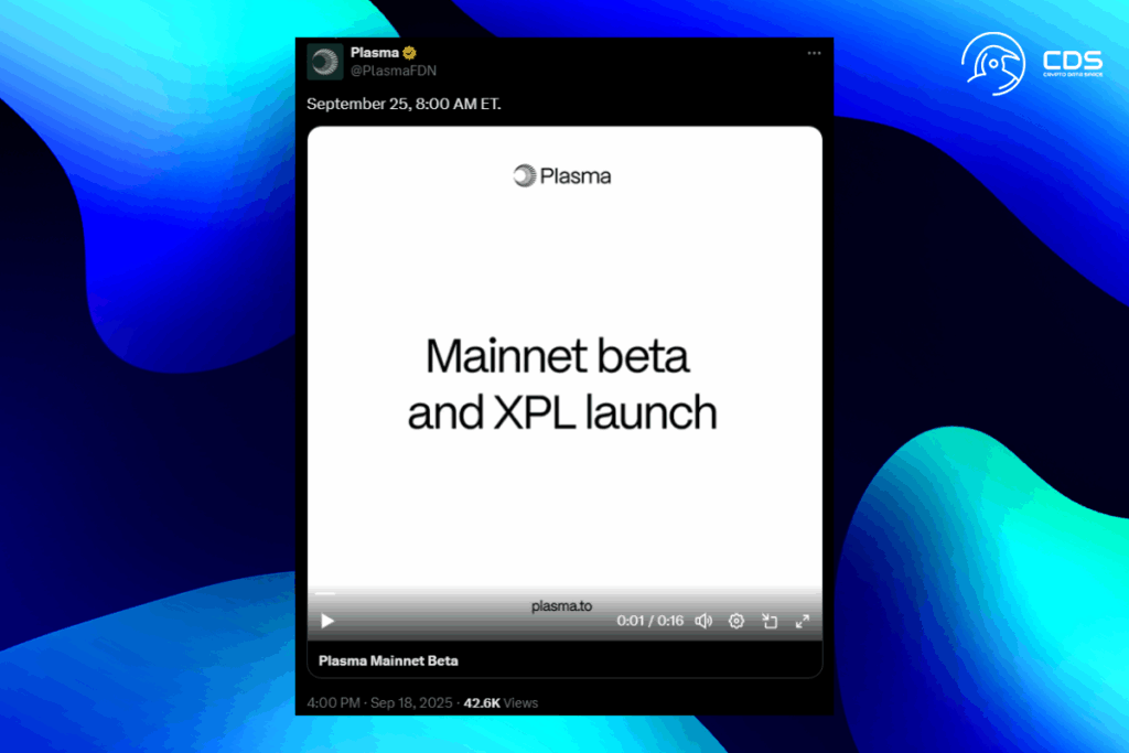 Plasma Mainnet Beta Stablecoin Piyasasını Sarsmaya Hazırlanıyor