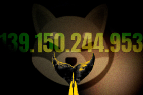 SHIB Balinaları Harekete Geçti Büyük Bir Ralli mi Geliyor