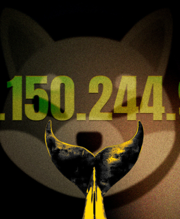 SHIB Balinaları Harekete Geçti Büyük Bir Ralli mi Geliyor