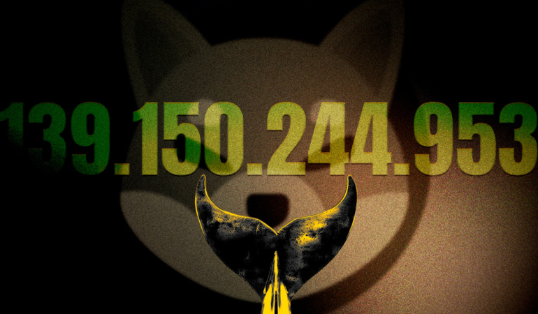 SHIB Balinaları Harekete Geçti Büyük Bir Ralli mi Geliyor