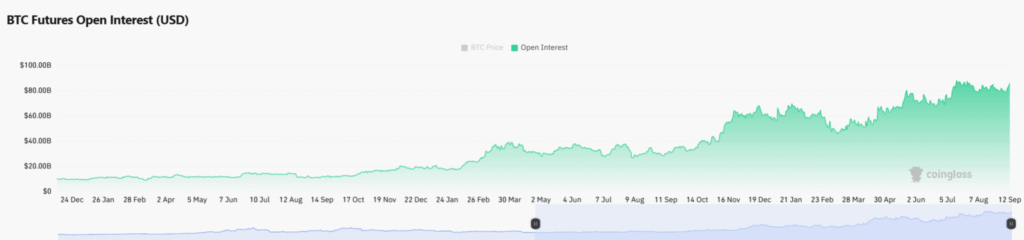 Bitcoin Boğa Döngüsünü Kaybediyor mu?