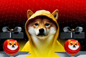 Shiba Inu Çekilişi Beğen, Paylaş, Etiketle – SHIB Token Kazan!