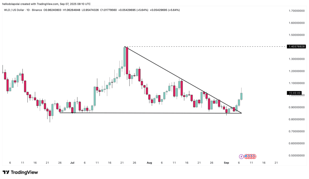 Worldcoin (WLD), %11’lik Yükselişle Piyasanın Lideri Oldu