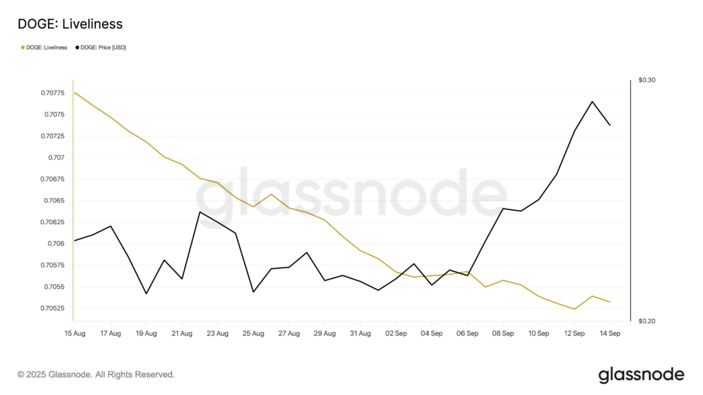 Dogecoin Uzun Vadeli Yatırımcılar Tarafından Güçlü Birikim Sinyali Veriyor
