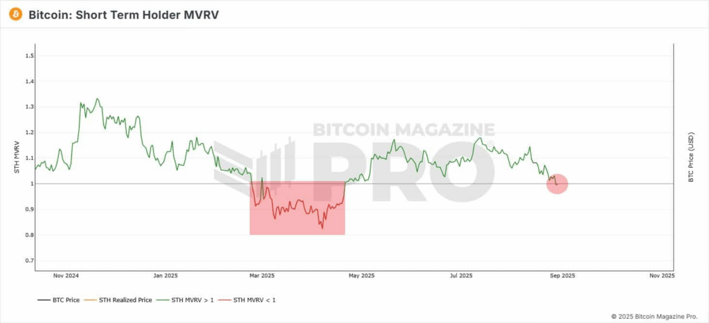 Bitcoin 110 Bin Doların Altında Mücadele Ediyor: Kısa Vadeli Yatırımcılar Pes Mi Ediyor?