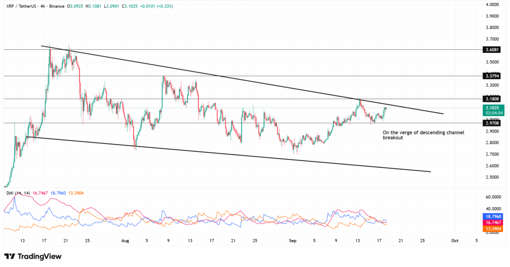 XRP Direnci Zorlarken Balina Transferleri Kısa Vadeli Endişeleri Artırıyor
