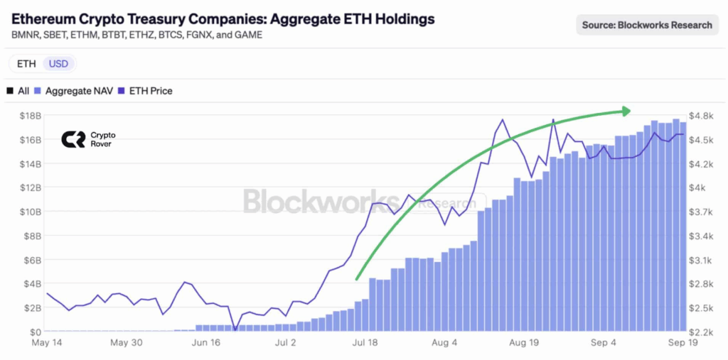 Ethereum, Artan Hazine Birikimi ve Yükselen Piyasa Kaldıraçlarıyla Gündemde