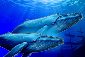 Kripto Piyasasında Balinaların Haftasonu Stratejileri Nelerdi?