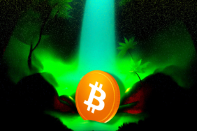 Korku ve Tereddütle Bekleyiş: Bitcoin Yatırımcıları Ne Yapmalı?