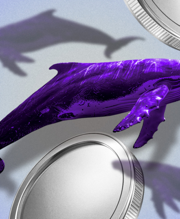 Kripto Balinalarının Stratejisi Piyasa Trendlerini Nasıl Etkiliyor?