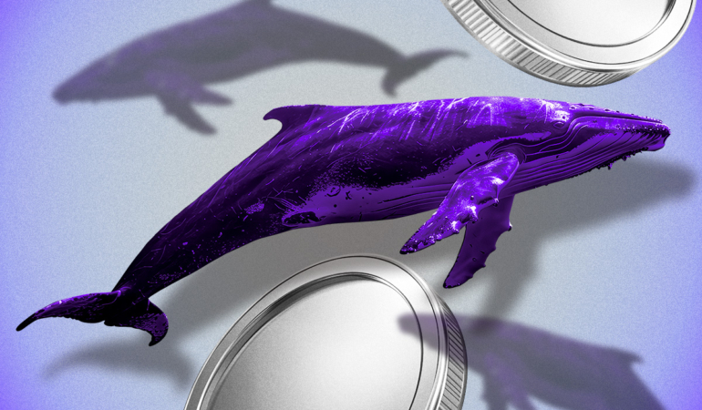 Kripto Balinalarının Stratejisi Piyasa Trendlerini Nasıl Etkiliyor?