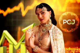 PC Jeweller Hisse Senetleri Yoğun İşlem Hacmi ile Dikkat Çekiyor