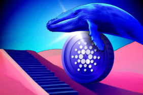 Cardano’da 70 Milyon ADA’lık Balina Alımı: Fiyat Kırılımına Doğru