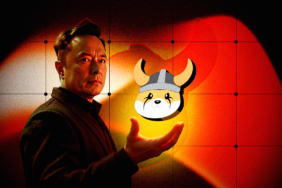 Elon Musk Paylaştı, Floki Coin Uçuşa Geçti: %27’lik Ralli Şaka mı Gerçek mi?