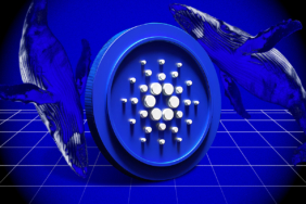 Cardano İçin Büyük Patlama Yakın mı? Teknik Göstergeler Ne Anlatıyor?