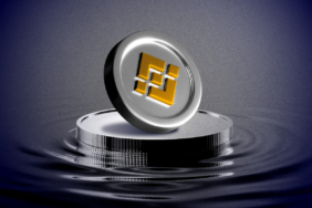 BNB’nin Epik Rallisi Yükselişin Arkasındaki Görünmeyen Güçler