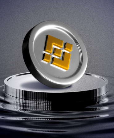 BNB’nin Epik Rallisi Yükselişin Arkasındaki Görünmeyen Güçler