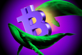 Büyük Balina Aktivitesi Boğa Duyarlılığını Ateşledi!