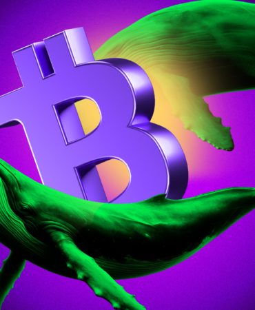 Büyük Balina Aktivitesi Boğa Duyarlılığını Ateşledi!